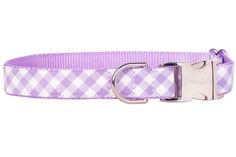 a purple and white checkered dog collar with a metal buckle on the front of it