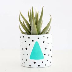 a potted plant sitting on top of a white table next to a green leaf