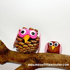 two little owls sitting on top of a tree branch next to a pinecone