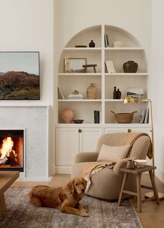 a dog laying on the floor in front of a fire place and bookshelf