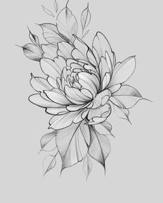 a black and white drawing of a flower