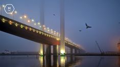 a bridge that is over water with birds flying around it and lights on the side