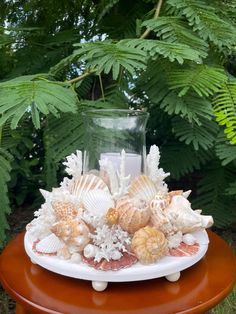 an arrangement of seashells on a table with a glass vase in the background