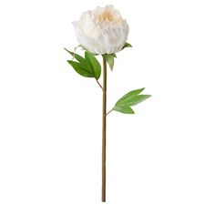 SMYCKA artificial flower, Peony/white, 11 ¾ ". Imagine always having a fresh-looking bouquet without the cost or maintenance. These flowers look so real you can almost smell them. There’s a wide choice so you can rearrange now and again for a new look. 100 % polyester (100% recycled). Ikea Smycka, Peony White, Flower Peony, Ikea Finds, Artificial Potted Plants, Support Plante, Artificial Bouquet, Work Lamp, Flower Store