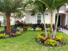 a tropical garden in front of a house with palm trees and flowers on the lawn