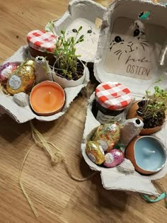 an egg carton filled with eggs, plants and other decorations on a wooden table