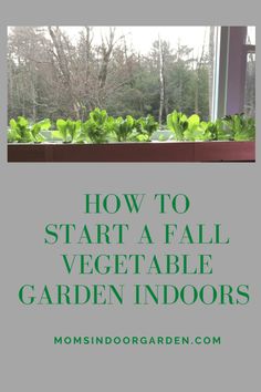 a window sill with plants growing in it and the words how to start a fall vegetable garden indoors