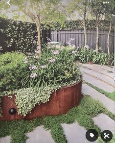 an image of a garden with flowers and plants growing in it's planters