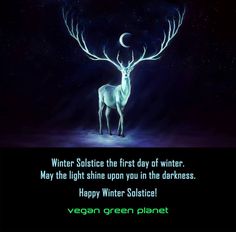 Merry Christmas Wishes Pagan, Pagan Seasons, Sabbath Blessings, Hello December Images, Summer And Winter Solstice, Winter Solstice Traditions, Santa Quotes, Yule Traditions, Witch Heart