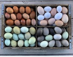 four boxes filled with different colored eggs