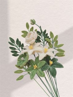 white flowers and green leaves in a vase