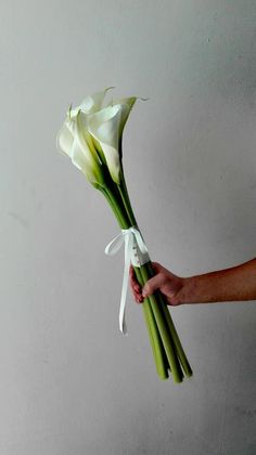 a person holding a bunch of flowers in their hand with the stems still attached to it