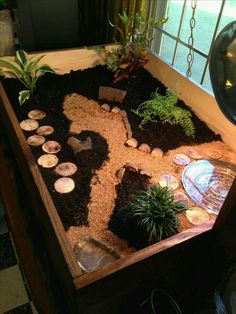 a wooden table topped with lots of plants and rocks on top of dirt covered ground