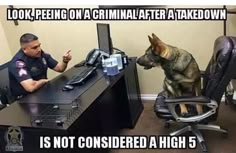 a police officer sitting at a desk with a dog on his lap and the caption is not considered a high 5