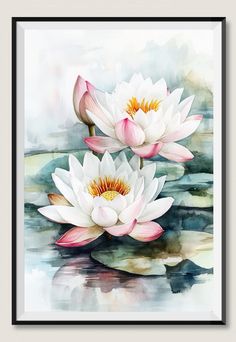 two white water lilies floating on top of a pond