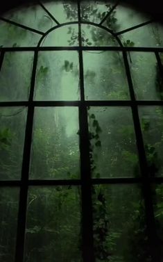 an open window in the middle of a forest filled with green plants and trees,