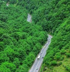 an aerial view of a road surrounded by lush green trees in the middle of nowhere