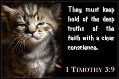 a cat that is looking at the camera with a caption below it saying, they must keep hold of the deep truth of the faith with a clear conscienceness