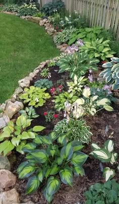 a garden filled with lots of different types of flowers and plants next to a wooden fence