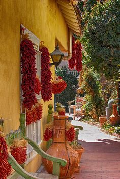 red peppers are hanging from the side of a yellow building, along with other potted plants