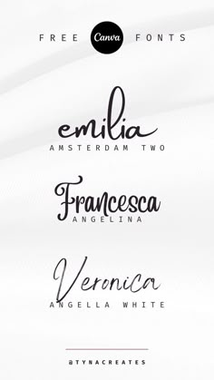 some type of font that is in different colors and sizes, with the names below it