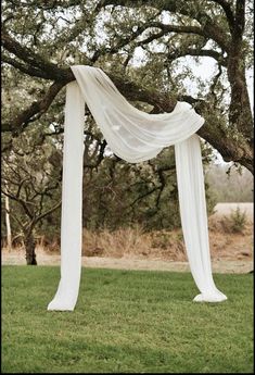 a white drape draped over a lush green field next to a large oak tree