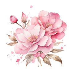 three pink flowers with leaves and watercolor splashes