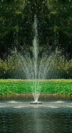 a fountain spewing water into a pond surrounded by green grass and trees in the background