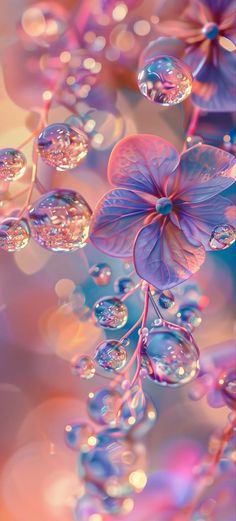 an image of water droplets and flowers in the air on a colorful background with blurry lights