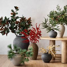 three vases filled with plants sitting on top of a wooden table next to each other