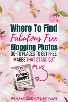 flowers and text that says where to find fabulous free blogging photos go - to places to get free images that stand out plus