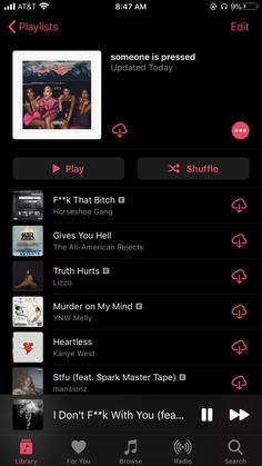 the music player on an iphone screen with other audio and video playlists in it