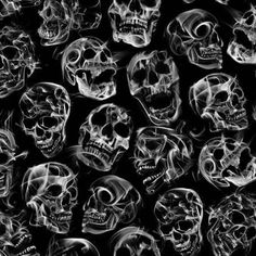 black and white photograph of many skulls