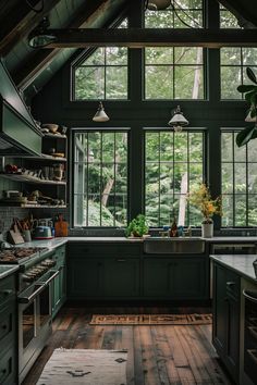 a kitchen with wooden floors and green walls, windows above the sink are potted plants