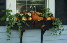 a window sill filled with pumpkins and greenery