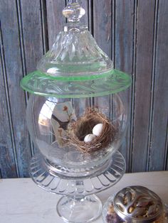 a glass jar with a bird's nest in it