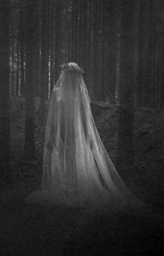 a ghostly bride in the woods with her veil draped over her head