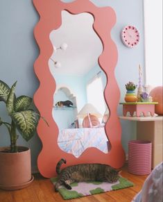 a cat is laying on the floor in front of a mirror that looks like a shell