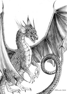 a pencil drawing of a dragon