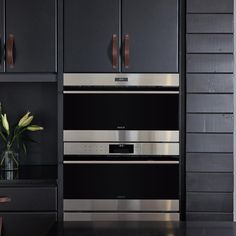 a modern kitchen with black cabinets and stainless steel appliances, including a large potted plant