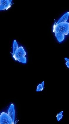 several blue butterflies flying in the dark