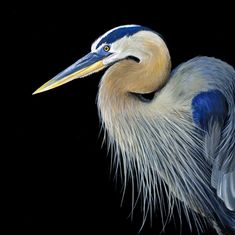 a painting of a blue heron on a black background