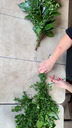 a woman is cutting up some plants on the floor with scissors and tape to trim them