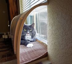 a cat laying on top of a window sill