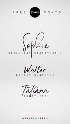 some type of font that is in different colors and sizes, with the names below it