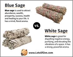 Sage In Witchcraft, Smudging Benefits, Benefits Of Burning Sage, Front Yard Landscape Design, Sage Uses, Sage Benefits, Green Community, Smudging Prayer, Beginners Garden