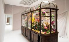 a display case filled with lots of flowers in front of a white wall and ceiling