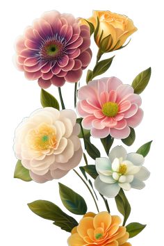 an image of flowers on a white background