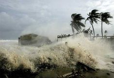 waves crash against the shore and palm trees