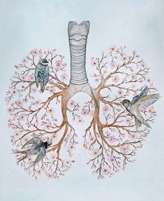 a drawing of the lungs with birds flying around it and flowers in blooming branches